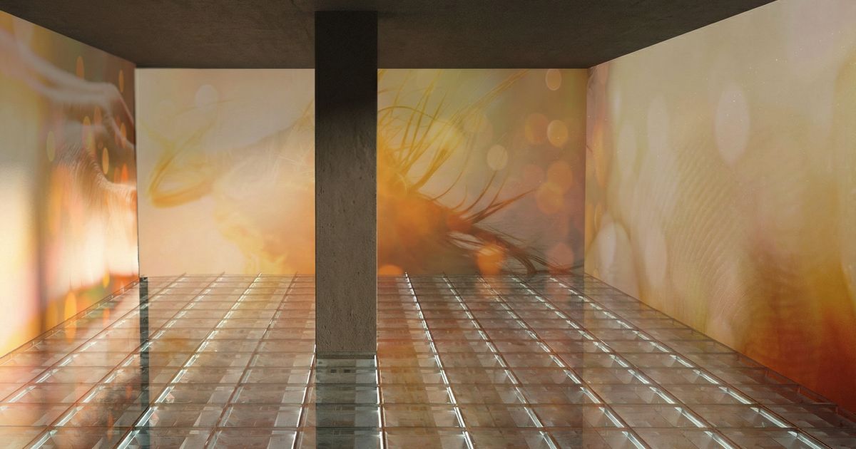 Siniša Radulović: Out of the Blue, I’m Swept Away – Announcements