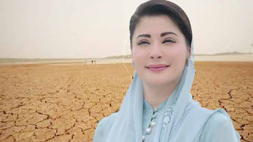 Punjab launches shrimp project to convert barren land