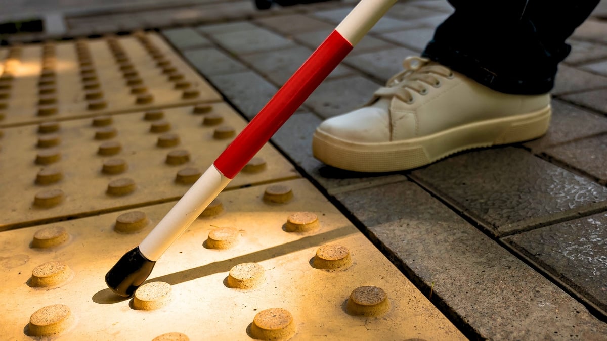 Human Echolocators Can ‘See’ With Sound, And Brain Scans Reveal How : ScienceAlert