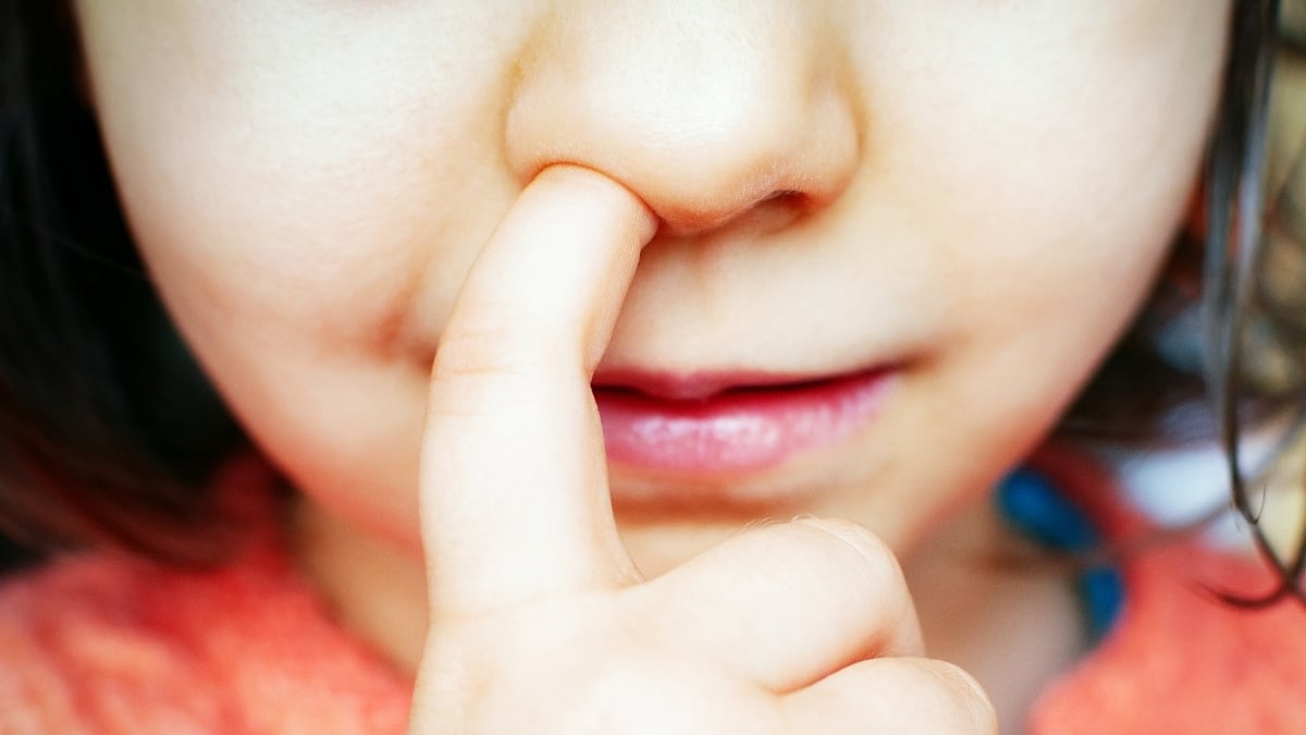 Nose-Picking May Have a Surprise Link With Alzheimer’s, Study in Mice Suggests : ScienceAlert