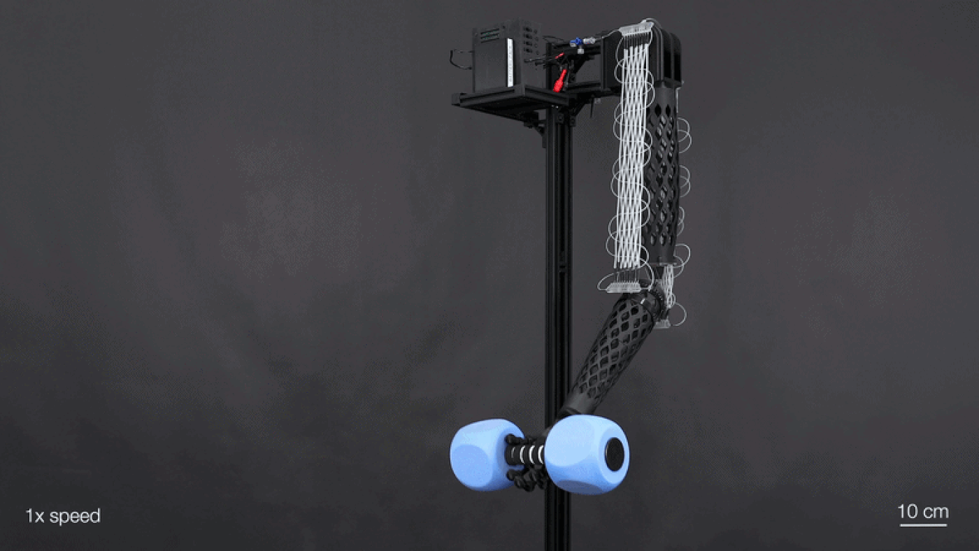 A new type of electrically driven artificial muscle fiber — MIT Media Lab