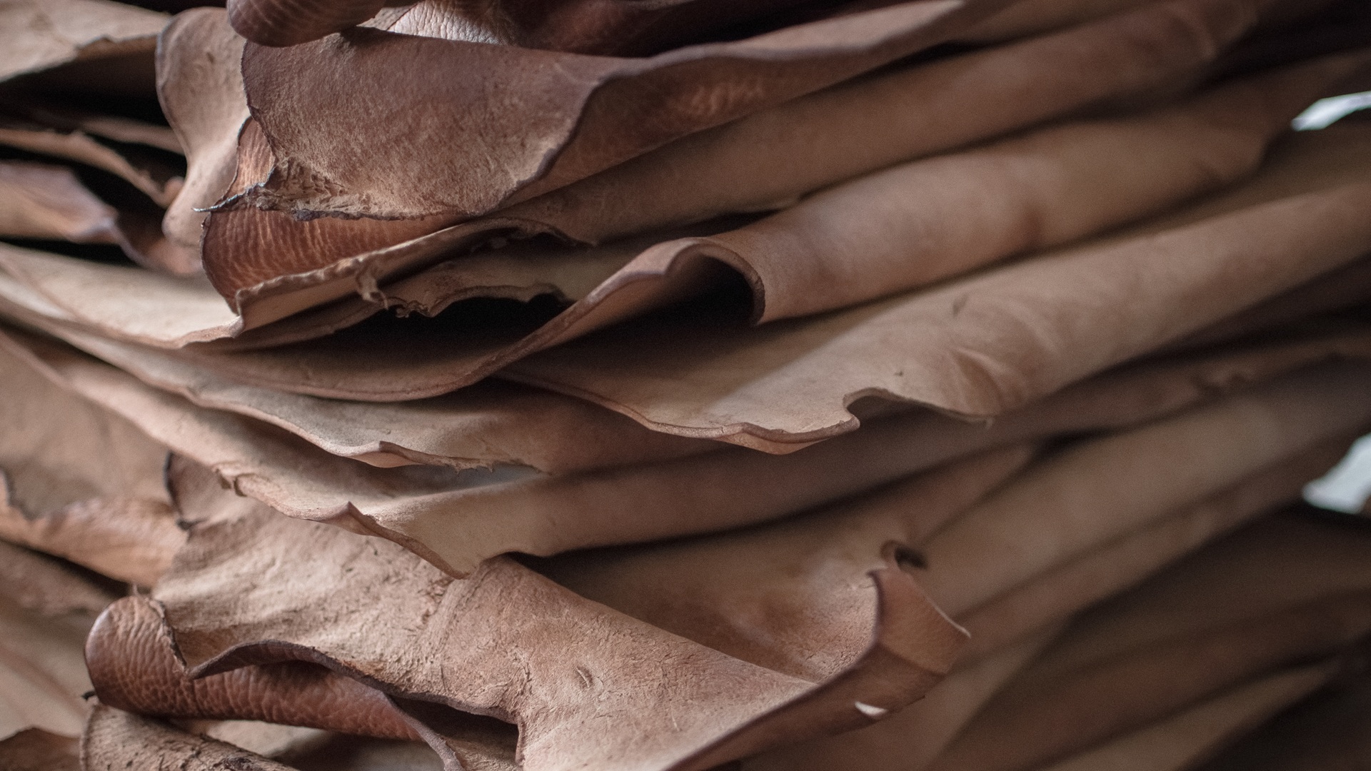 Laser turns leather into flexible energy devices for wearables