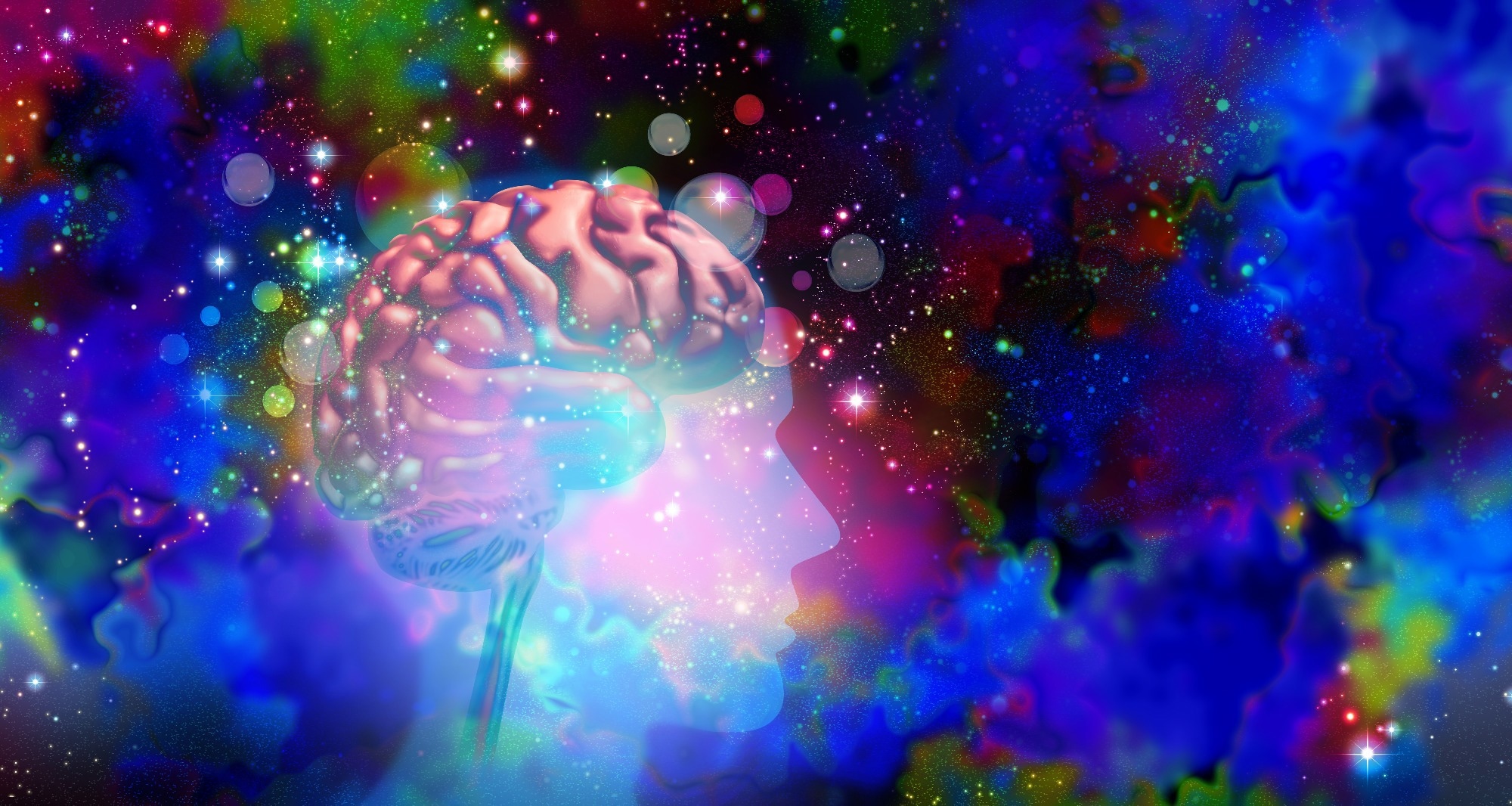 What happens in the brain on psychedelics? Scientists identify a common circuit pattern