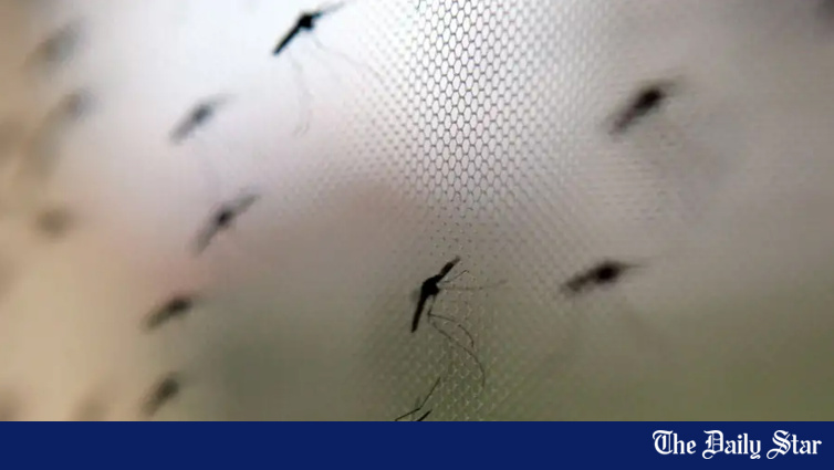 WHO approves first Malaria drug for babies