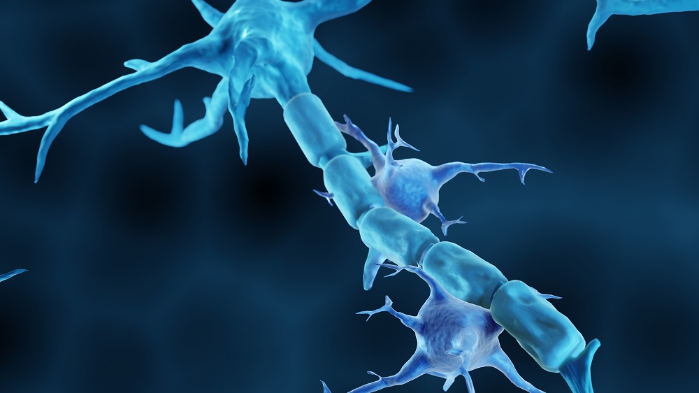 Affecting a Signaling Pathway Alleviates Alzheimer’s in Mice