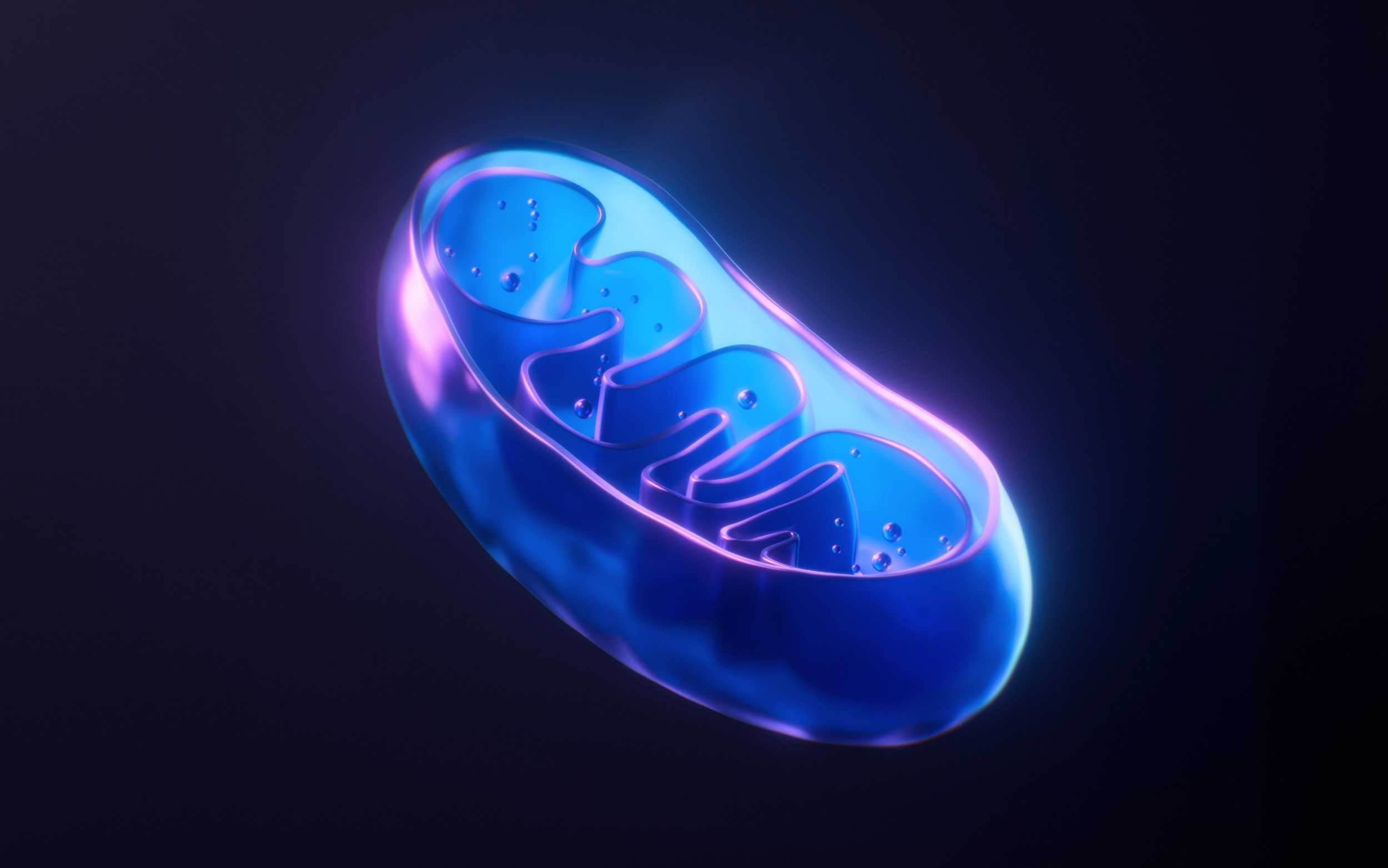 Scientists revive dying cells by injecting healthy mitochondria
