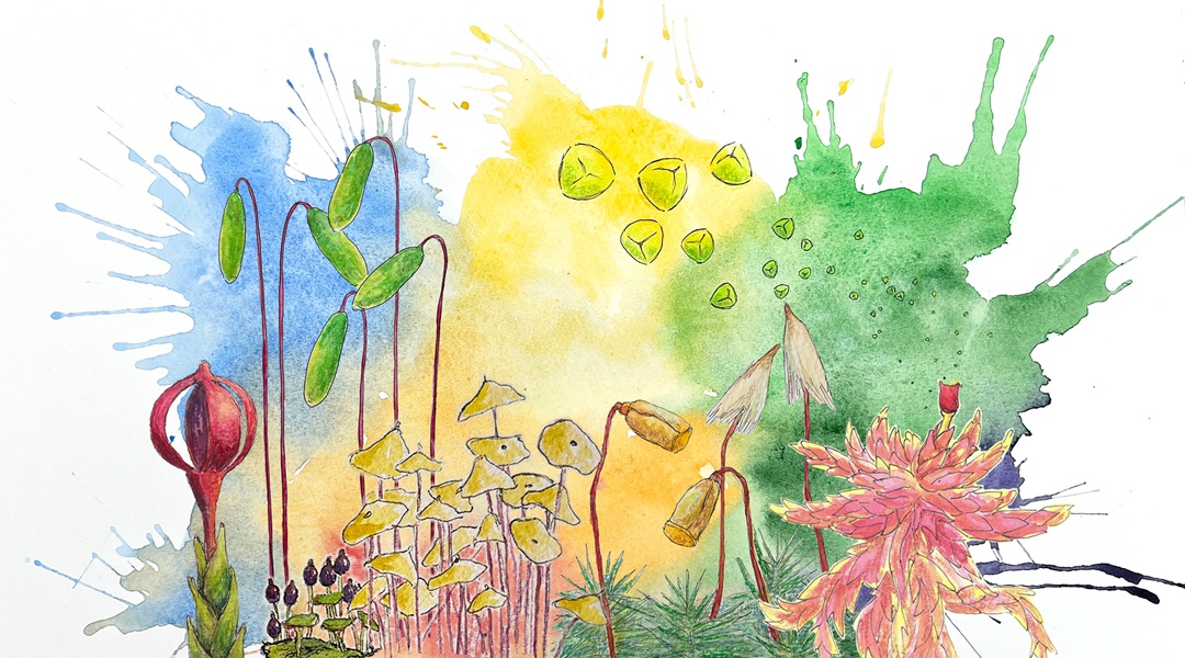 Airborne DNA reveals shifting reproductive timing in bryophytes