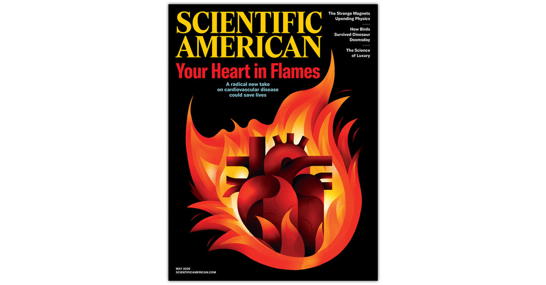 Scientific American May 2026 Cover Story Details New Research and Treatments for Heart Disease