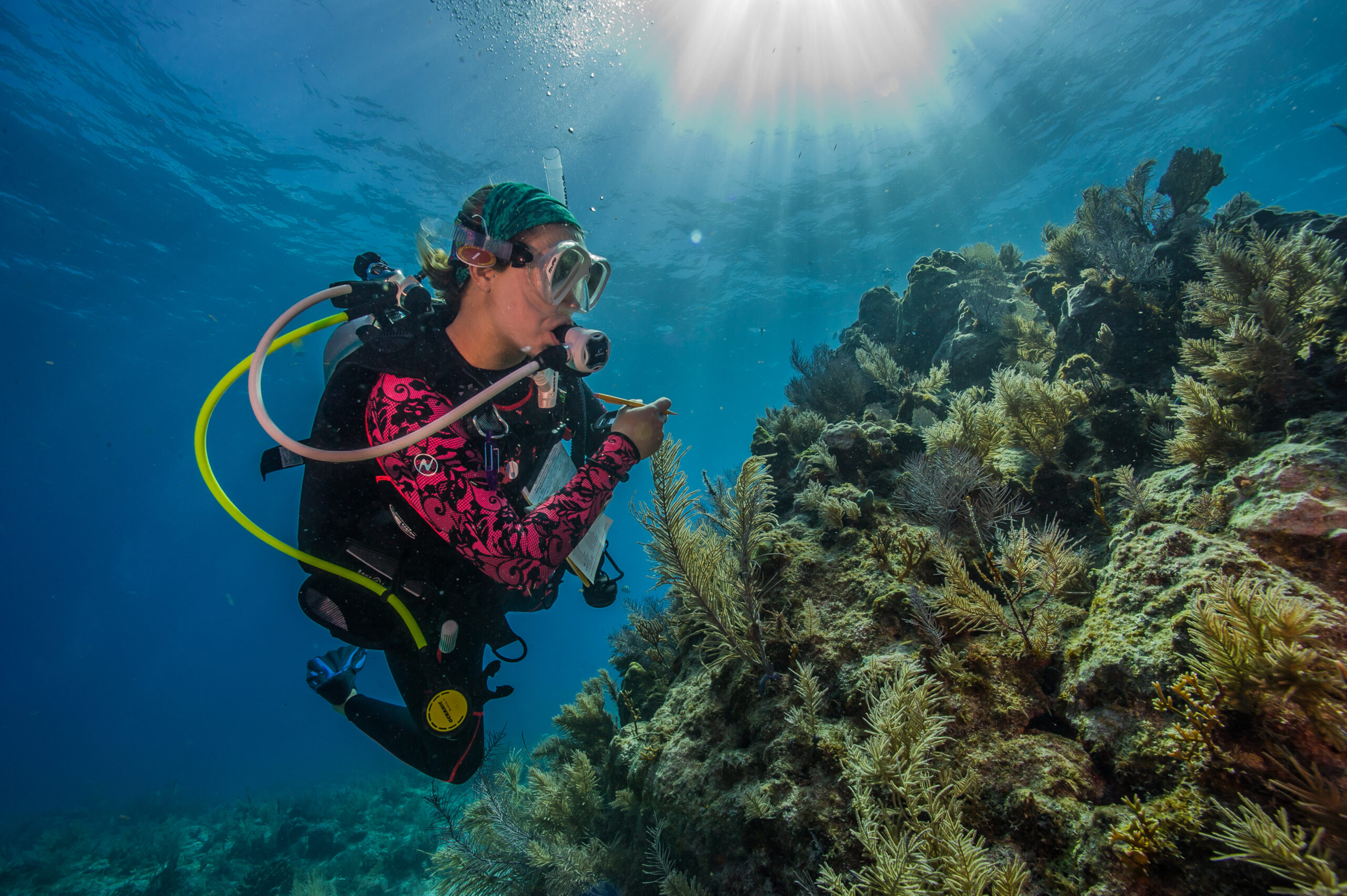 Against the clock: Can ‘assisted evolution’ save our coral reefs?
