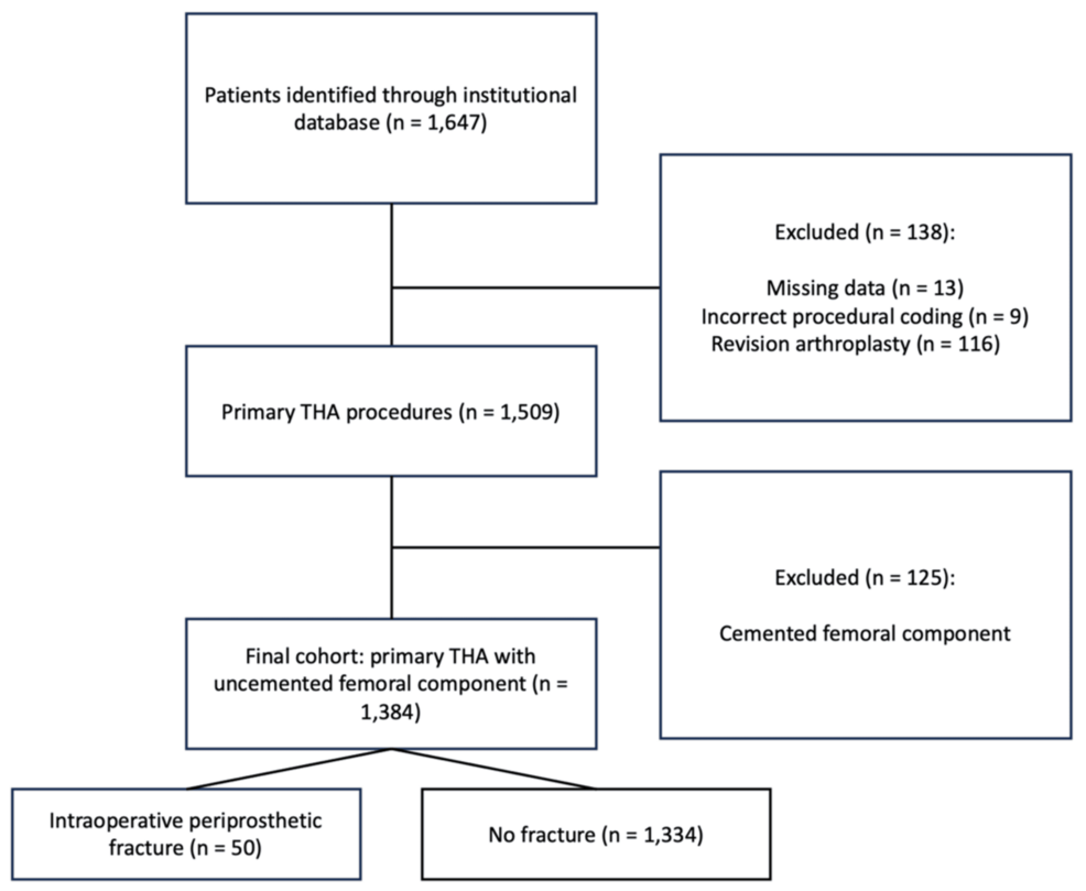 Risk of Intraoperative Periprosthetic Femoral Fracture According to Cementless Femoral Stem Geometry: A Cohort Study Based on the Radaelli Classification