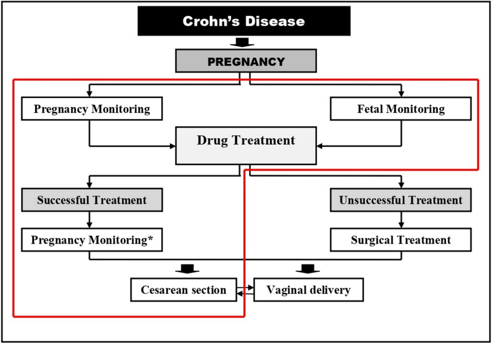 Successful Pregnancy Outcome in a Patient With Crohn’s Disease and Prior Intestinal Surgery: A Case Report