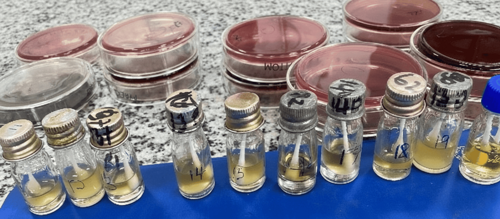 Antibiotic Use and Antibiotic Susceptibility of Common Environmental Bacterial Species in the Intensive Care Unit at Mbarara Regional Referral Hospital, Uganda