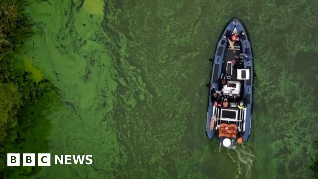 Jan Carson: Would flooding Lough Neagh solve the blue-green algae problem? – BBC