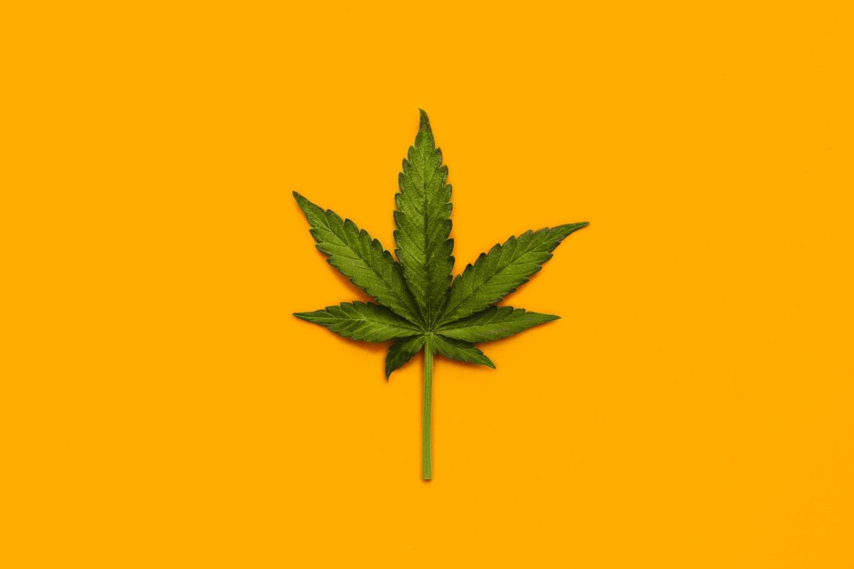 The unsettling truth about medical cannabis and mental health