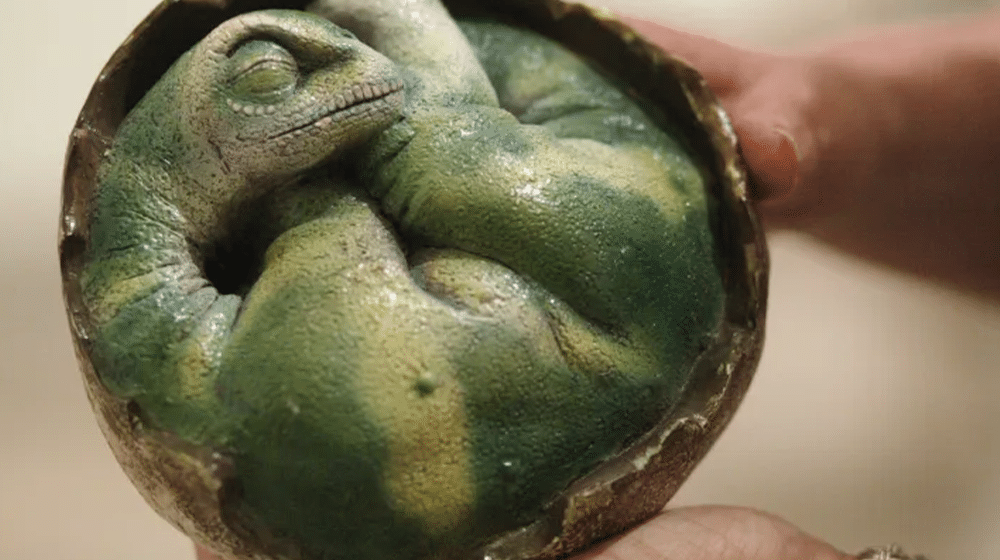 250-Million-Year-Old Embryo Found Perfectly Preserved Inside African Dinosaur Egg