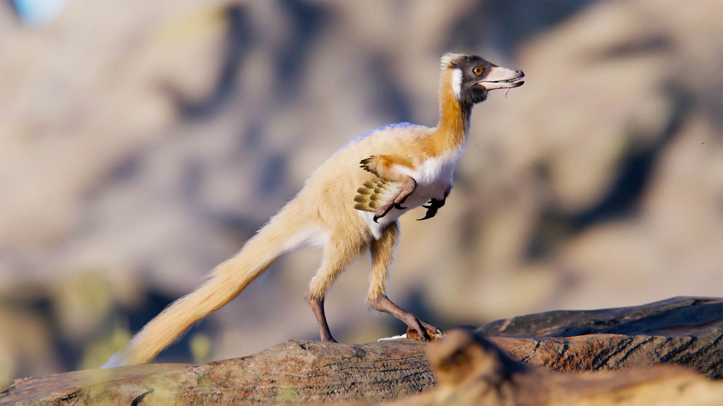 Strange bird-like dinosaur discovery is upending evolution theories