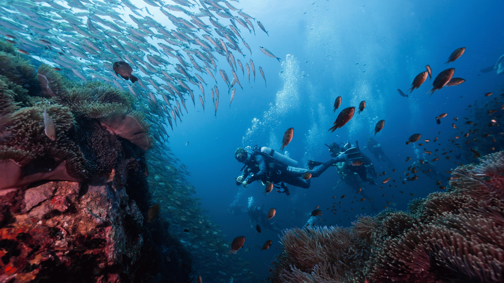Divers Experience A Similar Sense of Awe to Astronauts in Space