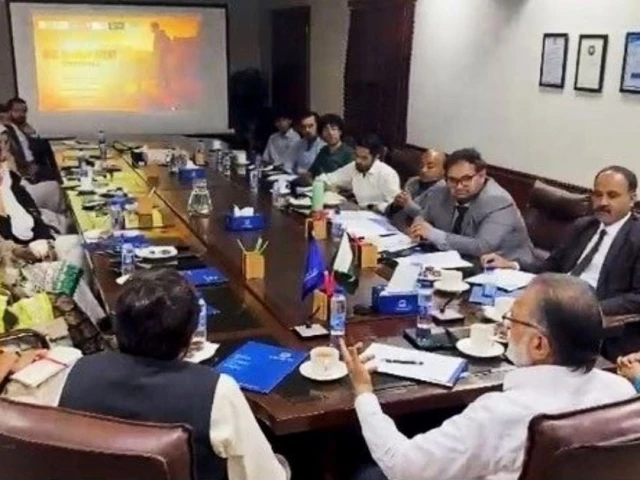 Rights groups, JI join hands against inhuman culling of stray dogs in Punjab