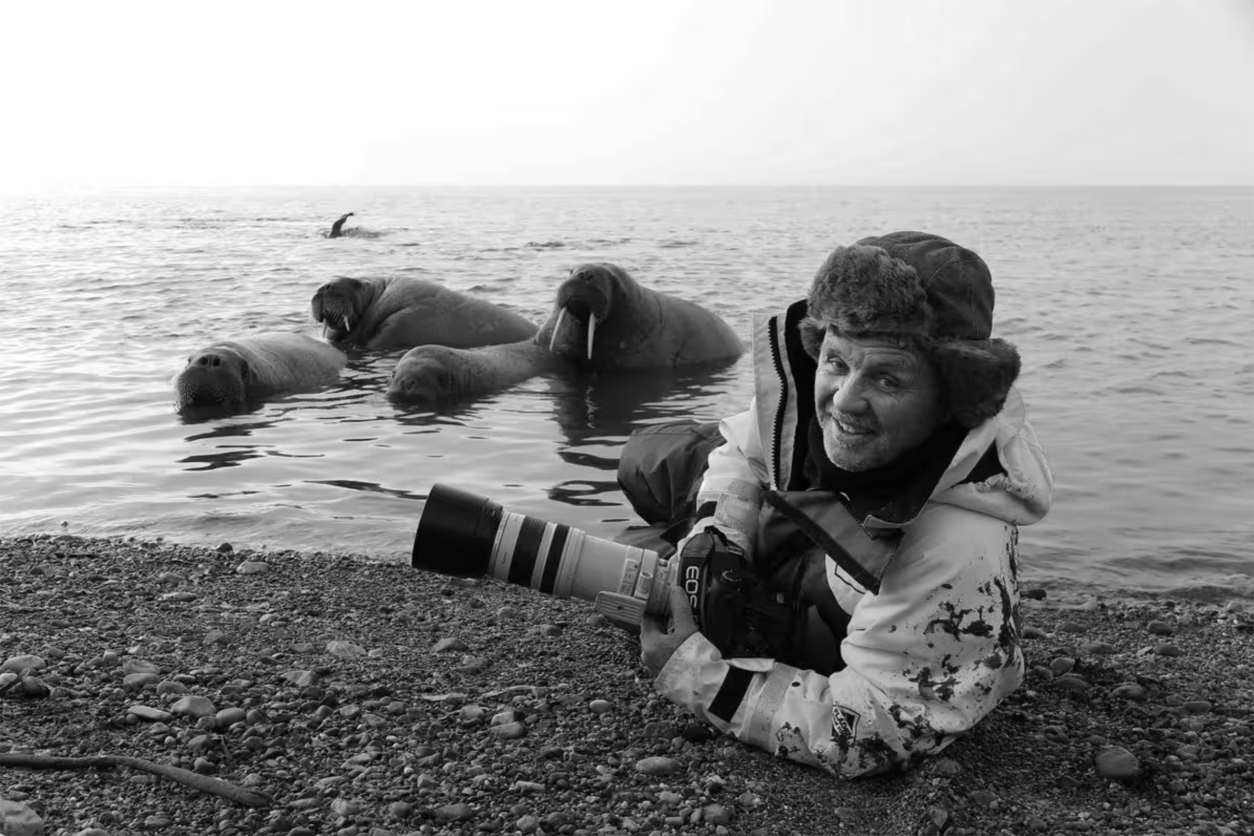 Doug Allan, wildlife cameraman who filmed animals in extreme environments