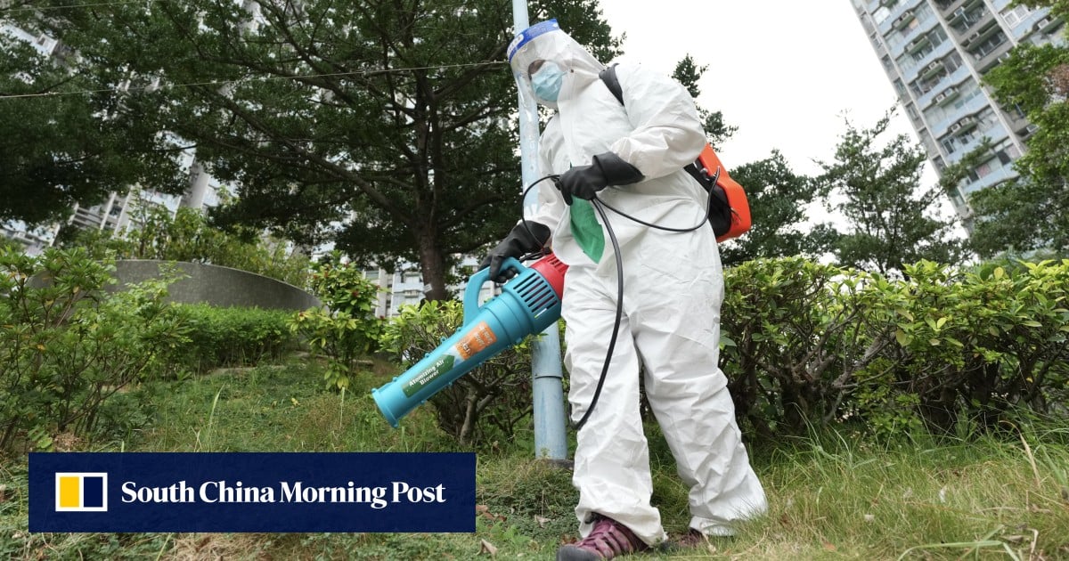 Hong Kong plans new trial of infecting male mosquitoes to halt offspring growth