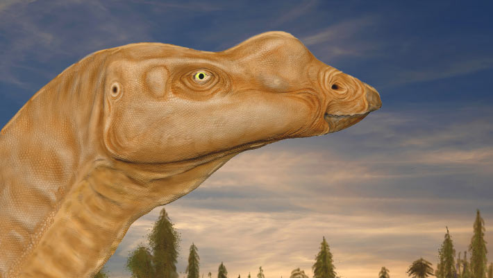 Big-Nosed Herbivorous Dinosaur May Have Been Picky Eater
