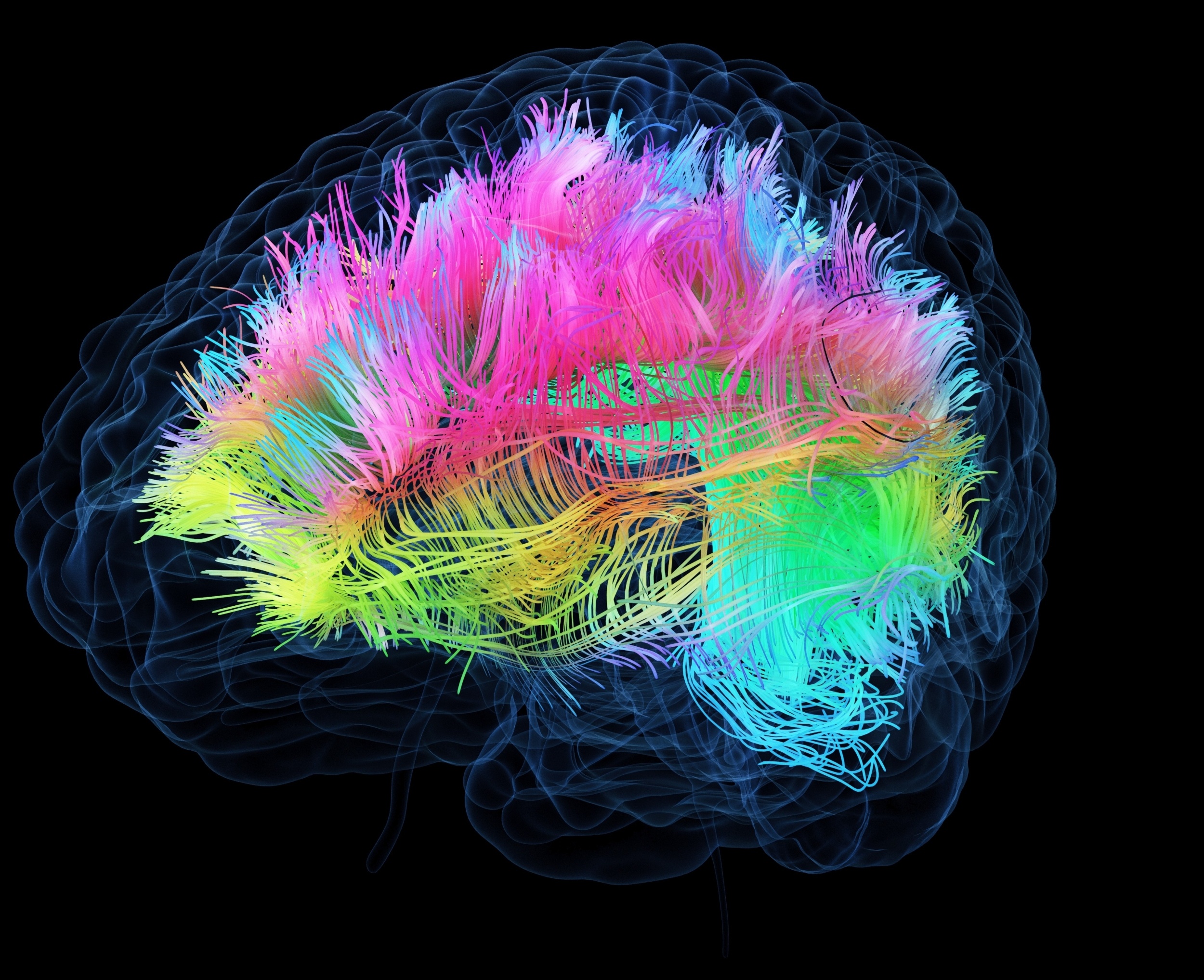 Imagination is linked to deeper brain networks than expected