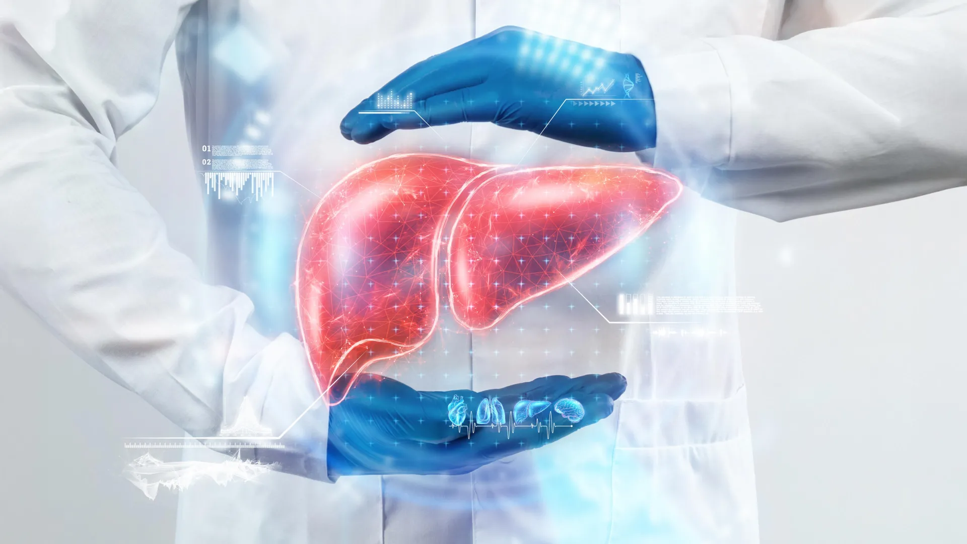 Two common drugs may reverse fatty liver disease, study finds