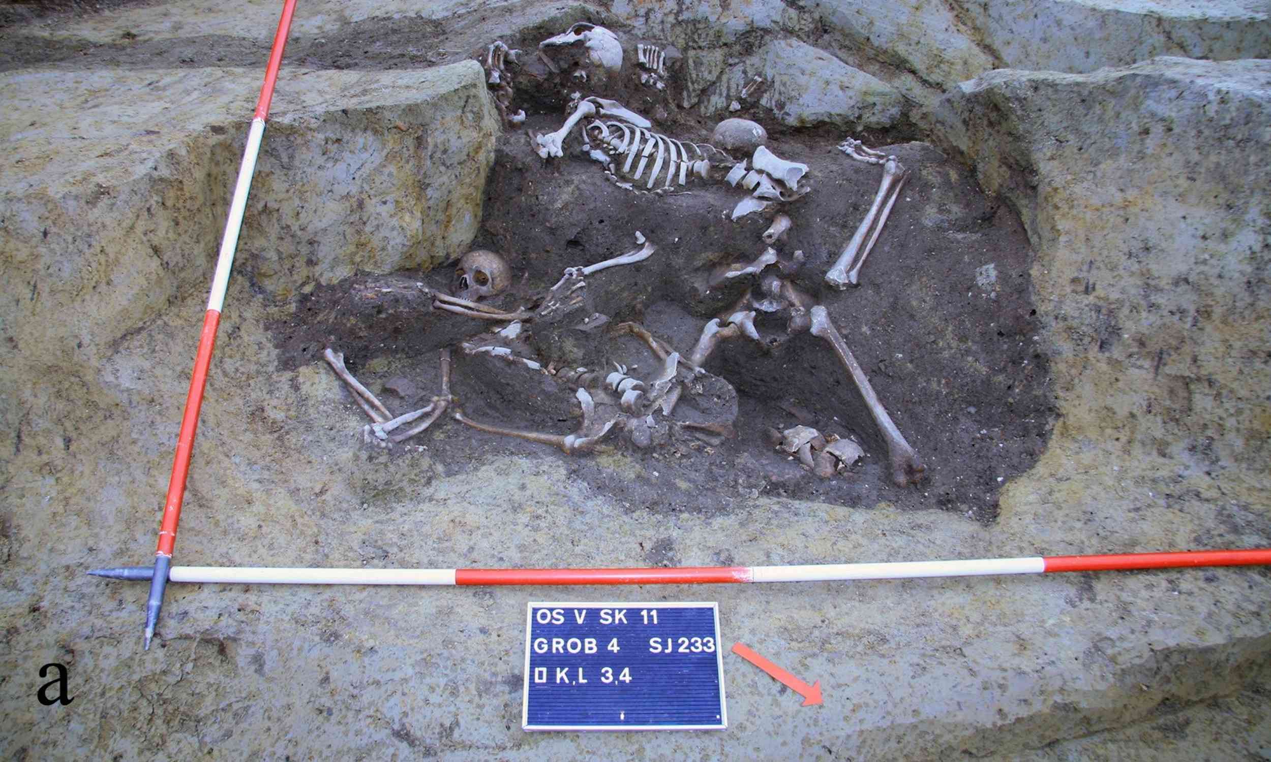 Mass grave of Roman soldiers discovered in an old water well
